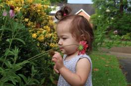 FB_IMG_1528163796655